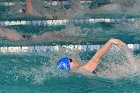 Swimming vs Babson  Wheaton College Swimming & Diving vs Babson College. - Photo By: KEITH NORDSTROM : Wheaton, Swimming